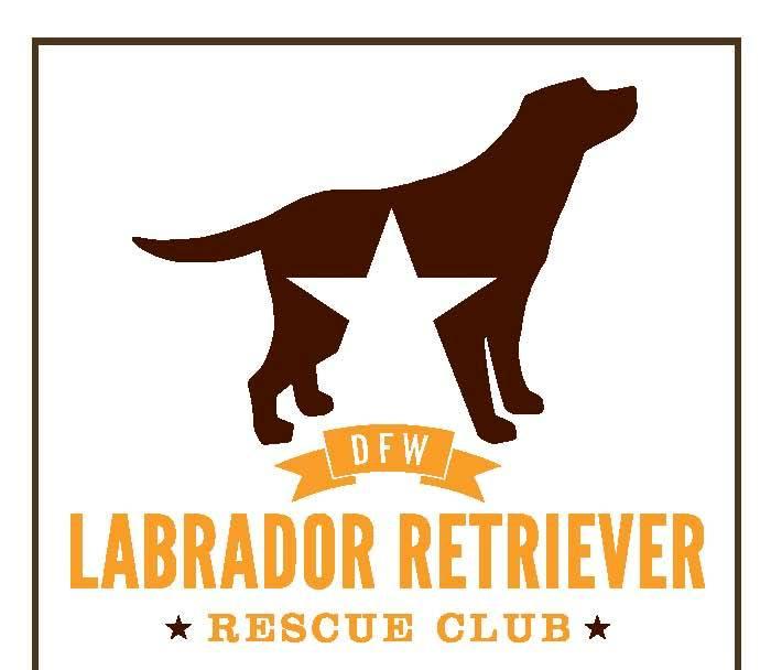 DALLAS FORT WORTH LABRADOR RETRIEVER RESCUE CLUB INC Logo
