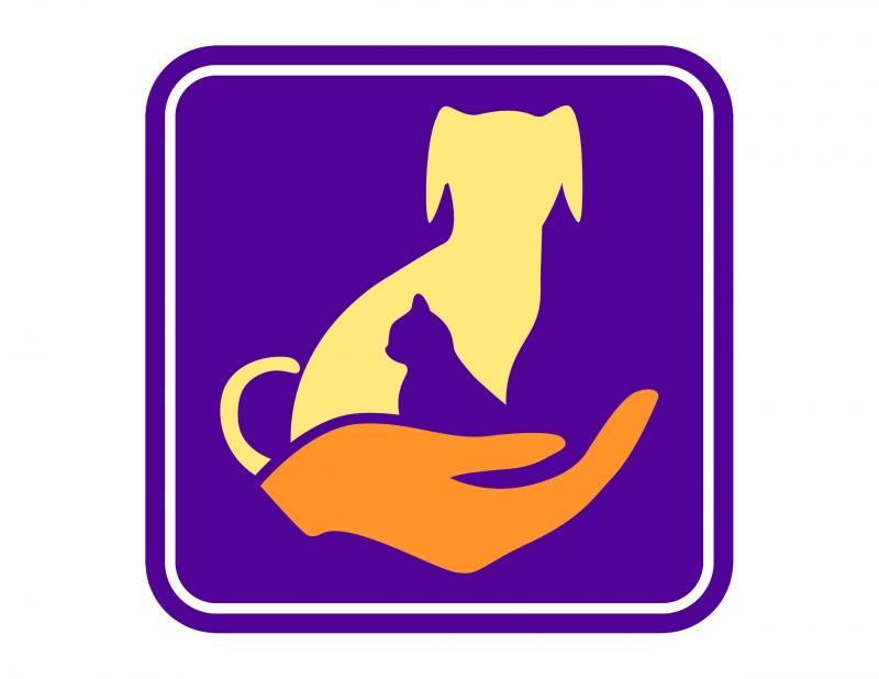 Seniors To The Rescue Logo