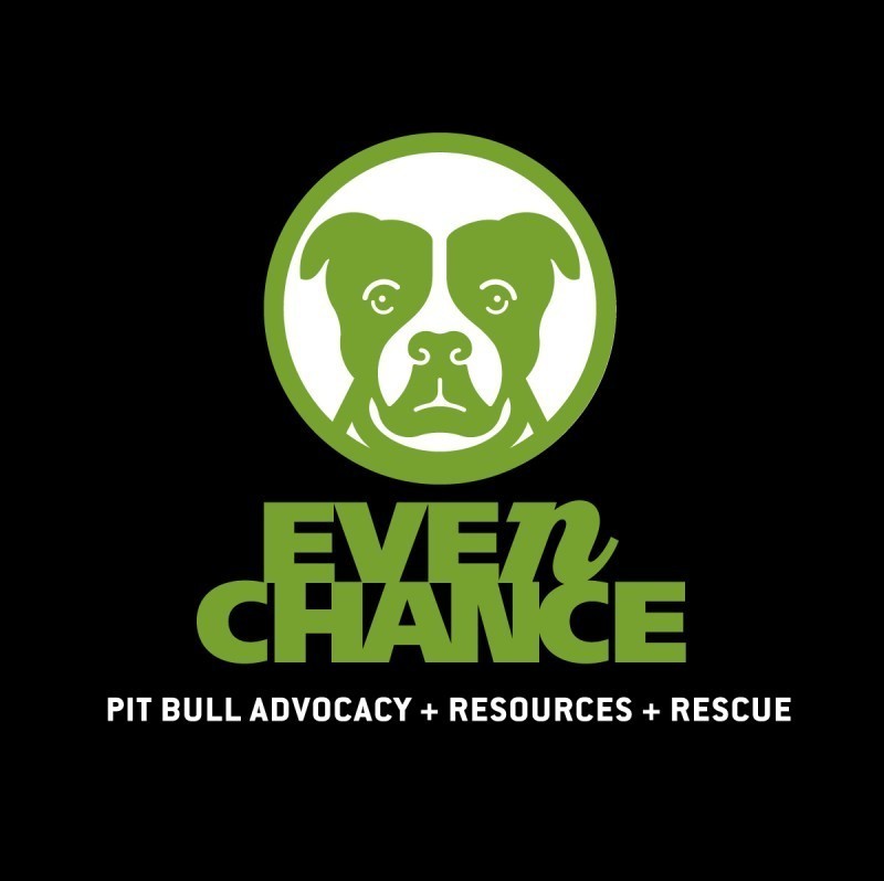 EVEN CHANCE Logo