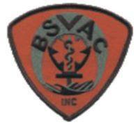 Bedford Stuyvesant Volunteer Ambulance Corps Logo