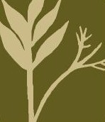 Frannie Peabody Center Inc Logo