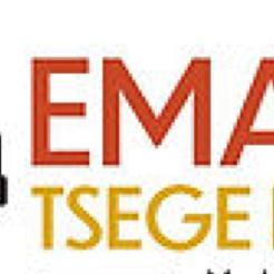 Emahoy Tsege Mariam Music Foundation Inc Logo