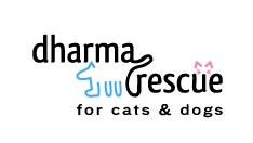 DHARMA RESCUE FOR CATS AND DOGS Logo