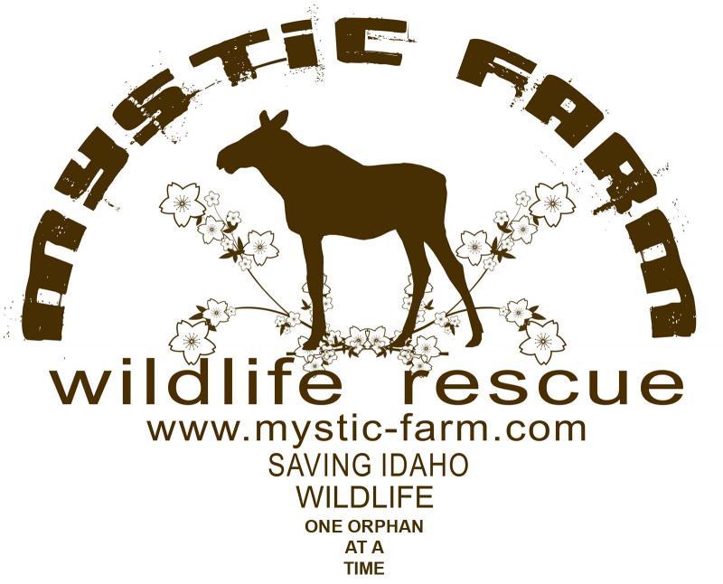 Mystic Farm Wildlife Rescue, Inc. Logo