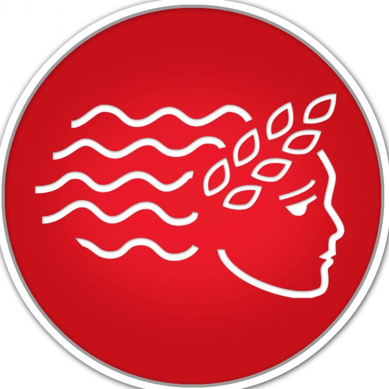 American INSIGHT Inc Logo