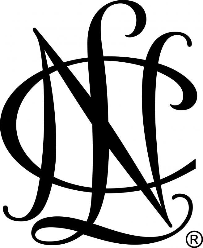 National Charity League Silver Star Chapter Logo