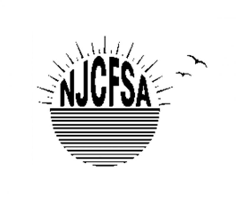 New Jersey Chronic Fatigue Syndrome Association Inc. (NJCFSA) Logo