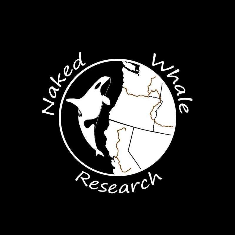Naked Whale Research Logo