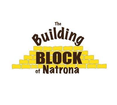 Building Block Of Natrona Logo
