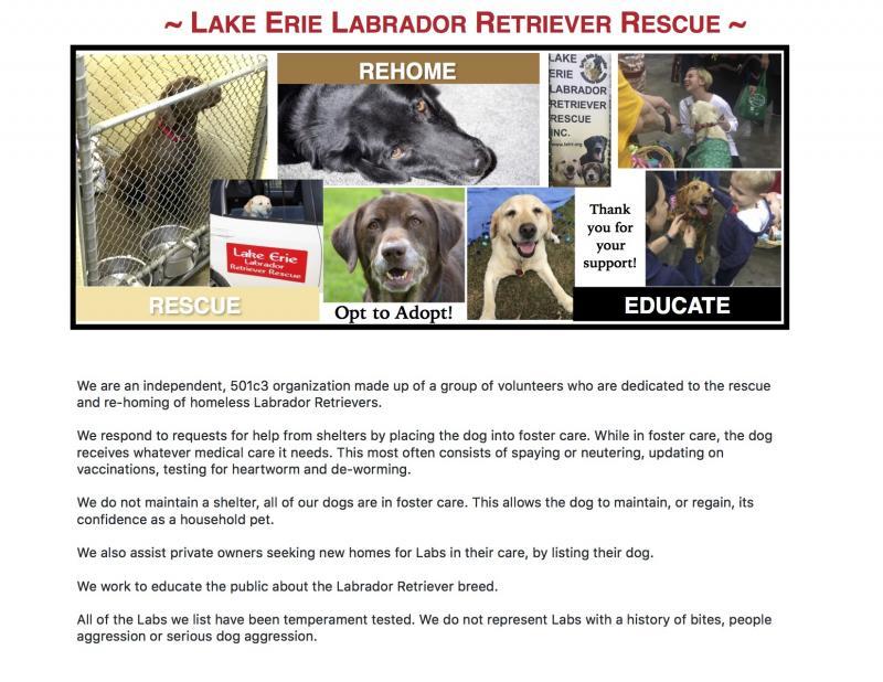 Lake Erie Labrador Retriever Rescue Inc Logo