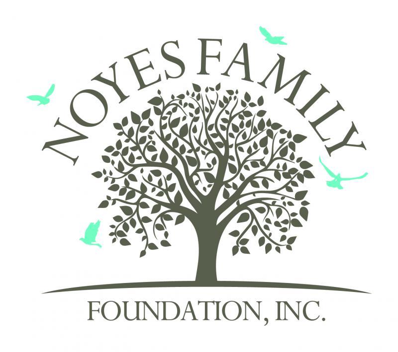 Noyes Family Foundation Inc Logo