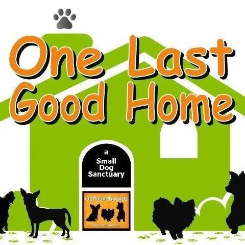 OCPoundhounds Small Breed Rescue/One Last Good Home Sanctuary & Hospice Logo