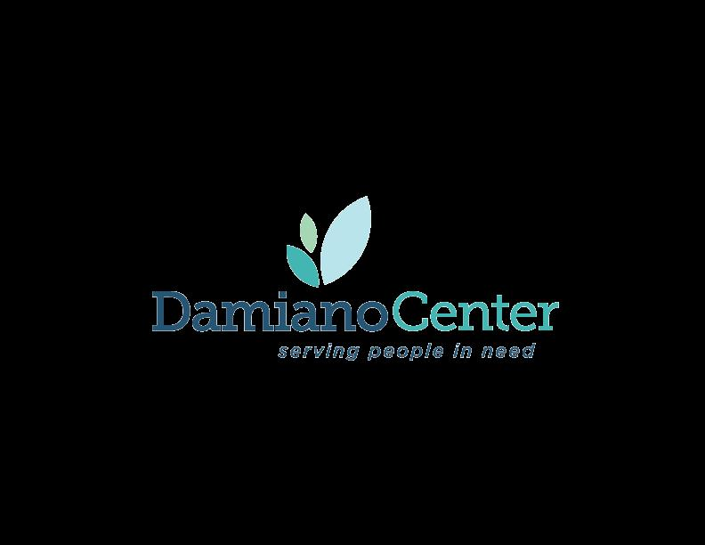 Damiano Of Duluth Inc Logo