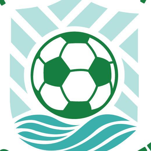 Pensacola Youth Soccer Inc Logo