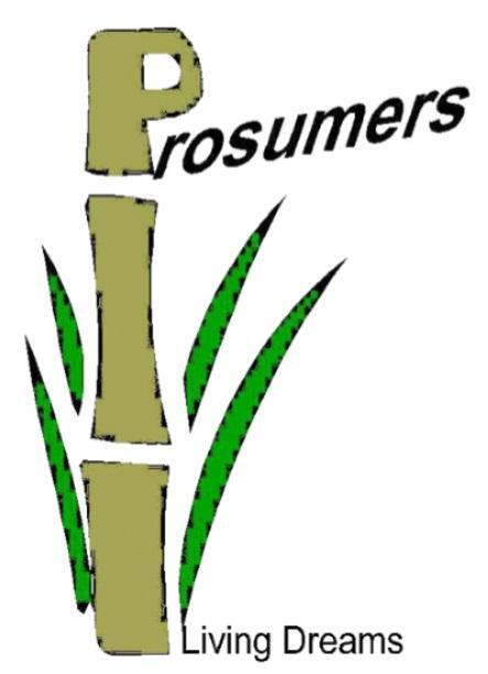Prosumers International Logo