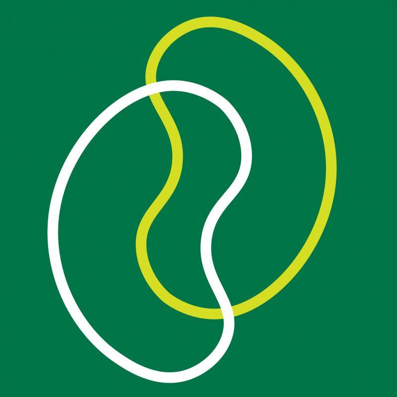 Rare Kidney Disease Foundation Logo