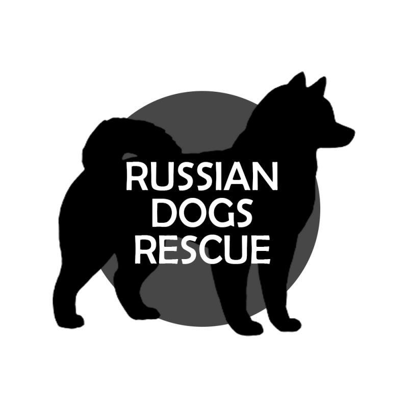 Russian Dogs Rescue Logo