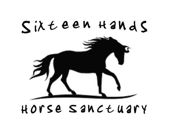 Sixteen Hands Horse Sanctuary Inc Logo
