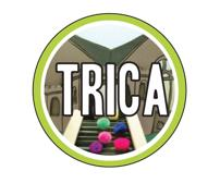 Treasure Valley Institute For Childrens Arts Logo