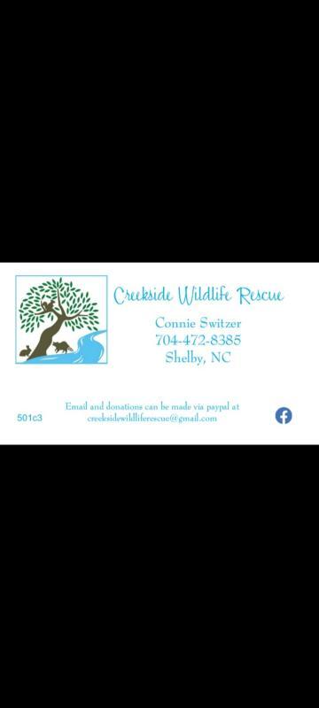 Creekside Wildlife Rescue Logo