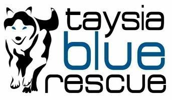 Taysia Blue Rescue Logo