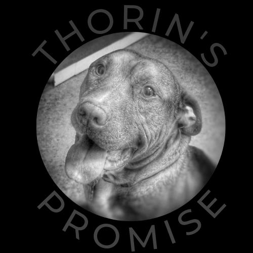Thorin's Promise Logo