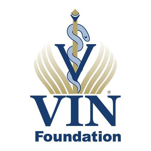 VIN Foundation Logo
