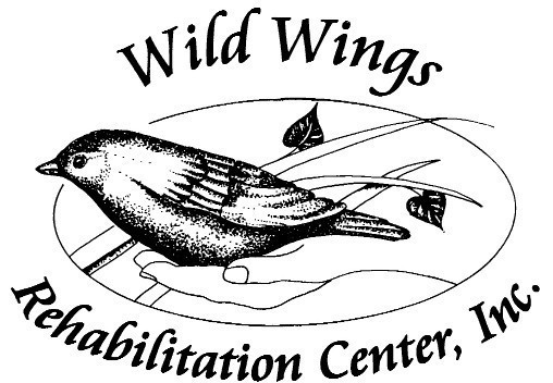 Wild Wings Rehabilitation Center Inc Logo