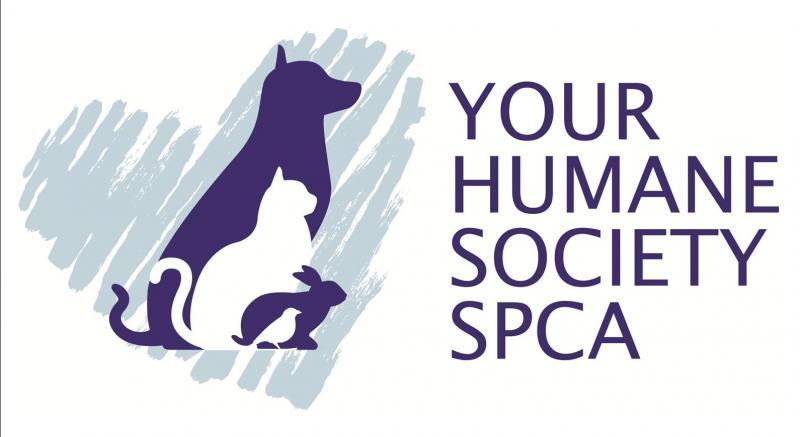 YOUR Humane Society SPCA Logo