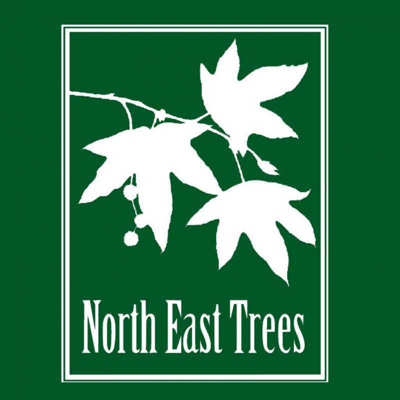 North East Trees Logo