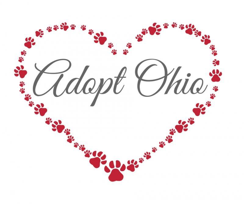 Adopt Ohio Logo