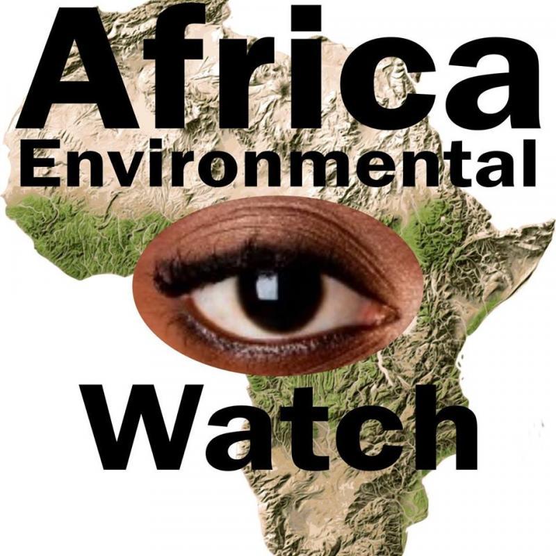 Africa Environmental Watch & Services Inc Logo