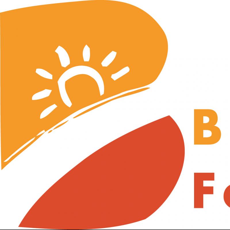 Bright Beginnings Family Childcare Inc Logo