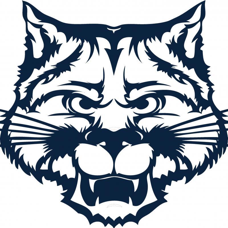 The Carmel School Logo