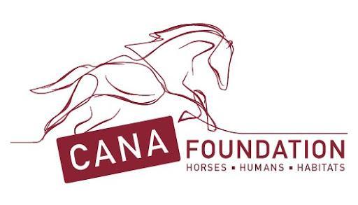 Cana Foundation Inc Logo