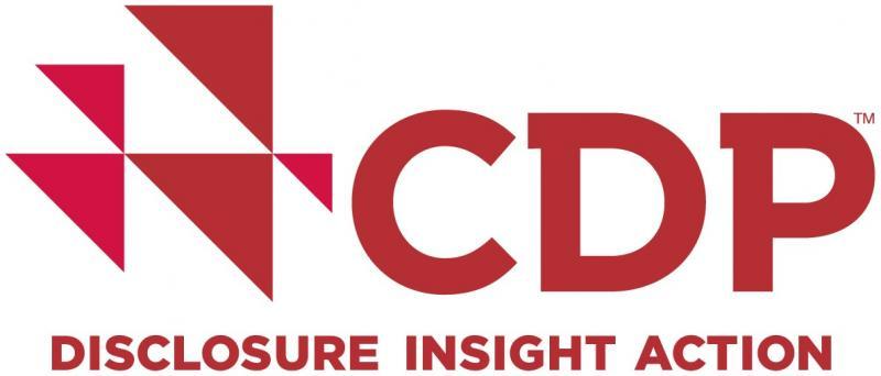 CDP North America, Inc. Logo