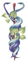 AAH HAA, LTD  formerly CHI Logo