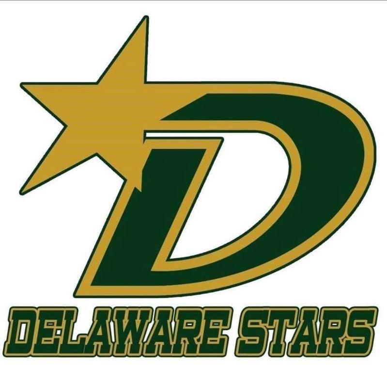 Delaware Stars Youth Ice Hockey Association Logo