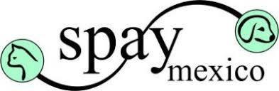 Spay Mexico Inc Logo