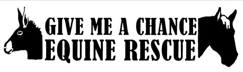 GIVE ME A CHANCE EQUINE RESCUE Logo