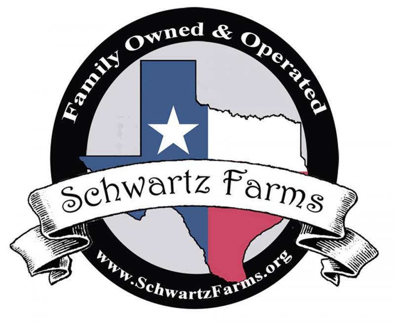 Andrew R Schwartz Foundation Logo