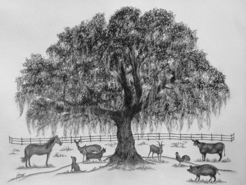 Farm At Oatland North Logo