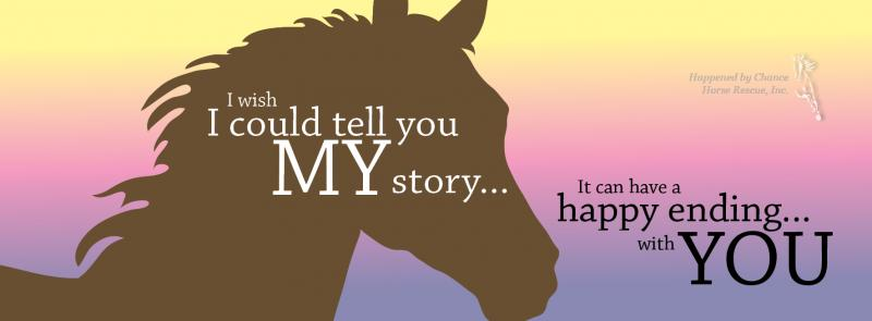 Happened By Chance Horses Inc Logo