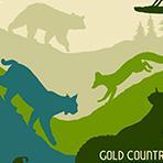 Gold Country Wildlife Rescue Inc Logo