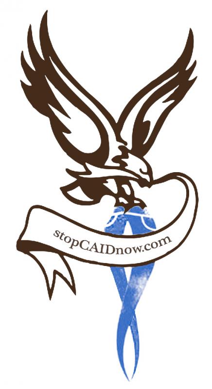 Stop Childhood Auto Inflammatory Diseases, Inc Logo