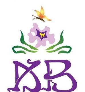KALEIDOSCOPE BUTTERFLY INC Logo