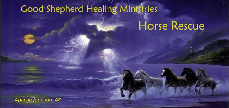 Good Shepherd Healing Ministries Horse Rescue Logo