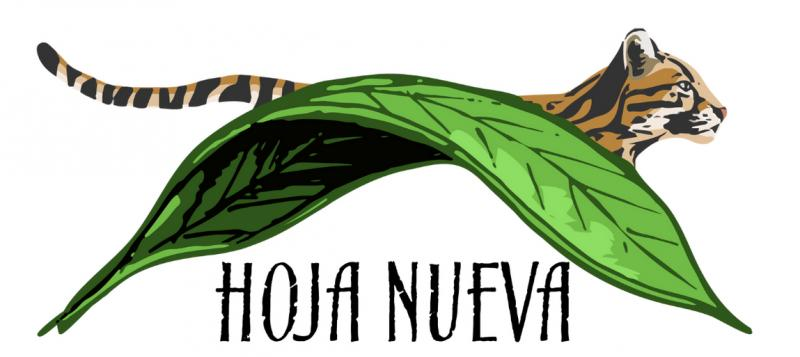 Hoja Nueva Logo
