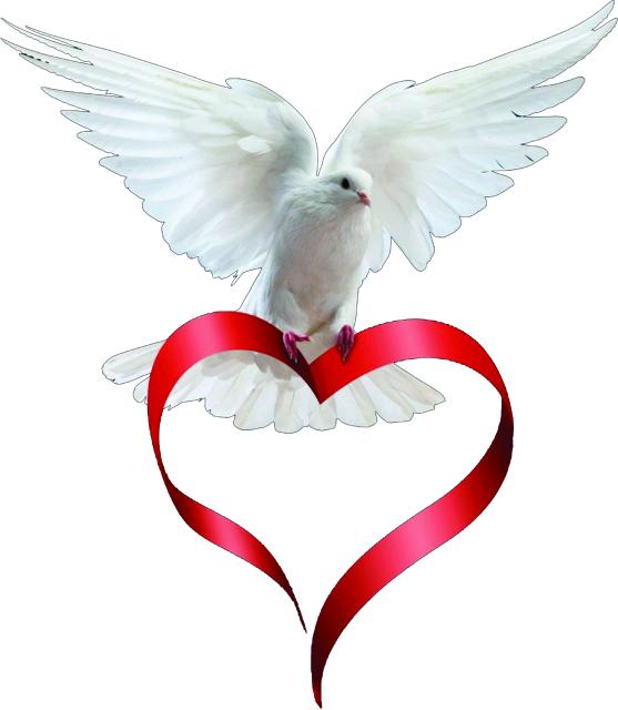 HOPE AND LOVE VOLUNTEERS Logo