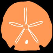 Search Box Image